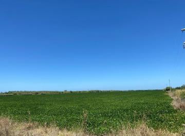 Campo · 3.2 Ha Agrícolas - Ramallo - Zona Núcleo