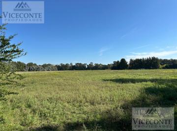 Terreno , Chascomús · Lote 4322 m² en Chascomús, Provincia de Buenos Aires