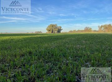 Campo de 7 ambientes, Brandsen · Campo 78 Ha Brandsen, Buenos Aires.