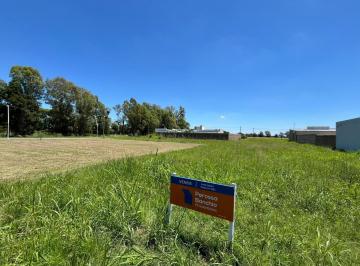 Terreno · 550m² · Terreno en Esperanza
