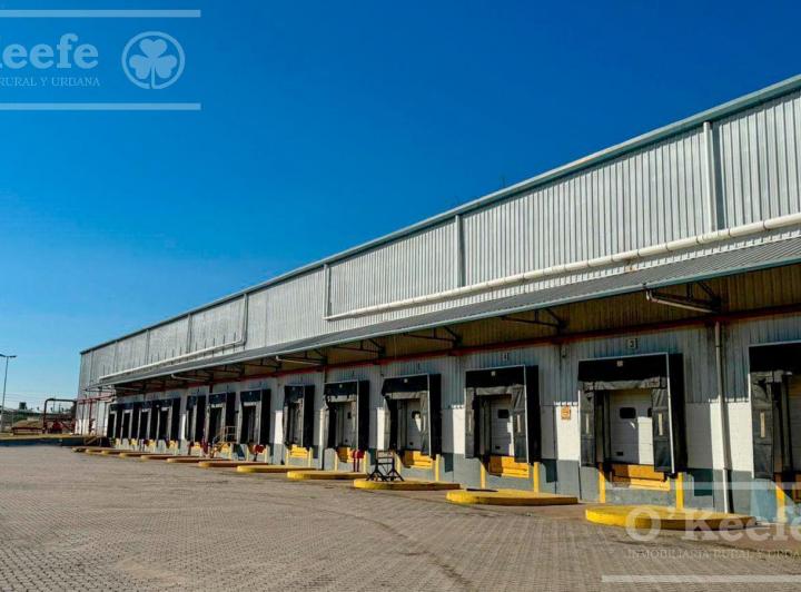 Bodega-Galpón · 11000m²