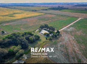 Campo · 77ha · Campo en Venta – 77has Colonia José Mármol