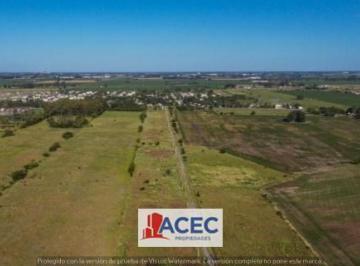 Terreno · 4000m² · 1 Ambiente · Venta - Lote Industrial - La Carolina
