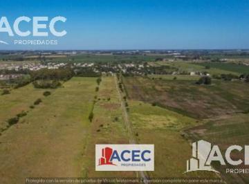 Terreno · 4000m² · 1 Ambiente · Venta - Lote Industrial - La Carolina