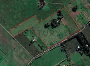 Campo · 150m² · 3 Ambientes · Venta Campo 28 Hectáreas en Gral. Rodriguez