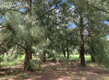 Terreno · 4166m² · Excelente Terreno 4166 m² - La Escondida Manzanares Pilar