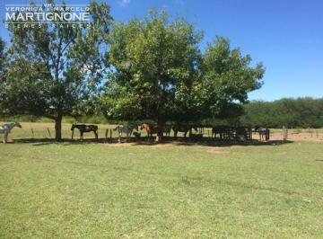 Campo · 100000m² · 3 Ambientes · 10 Has en Venta en Manzanares Pilar