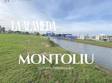 Terreno · 697m² · Lote Interno a Laguna - La Alameda