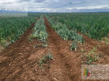 Campo · 800ha · Campo en Venta