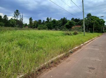 Terreno , Gobernador Roca · Lote Sobre Ruta Nacional 12 en Goberndor Roca Misiones