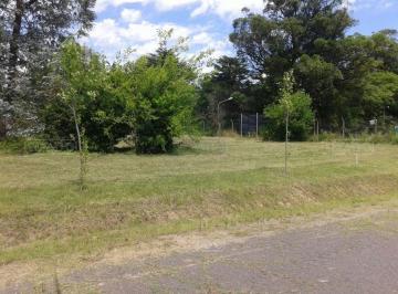 Terreno · 700m² · Terreno Lote en Venta Ubicado en Benavidez, Zona Norte
