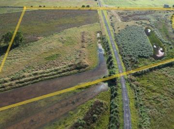 Campo · 6ha · Campo - Gral. Madariaga