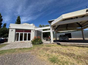Bodega-Galpón · 630m² · Galpon Frente de Ruta Venta Cipolletti