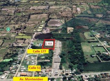 Campo · 1ha · Lote en Venta Berisso 1 Hectárea.