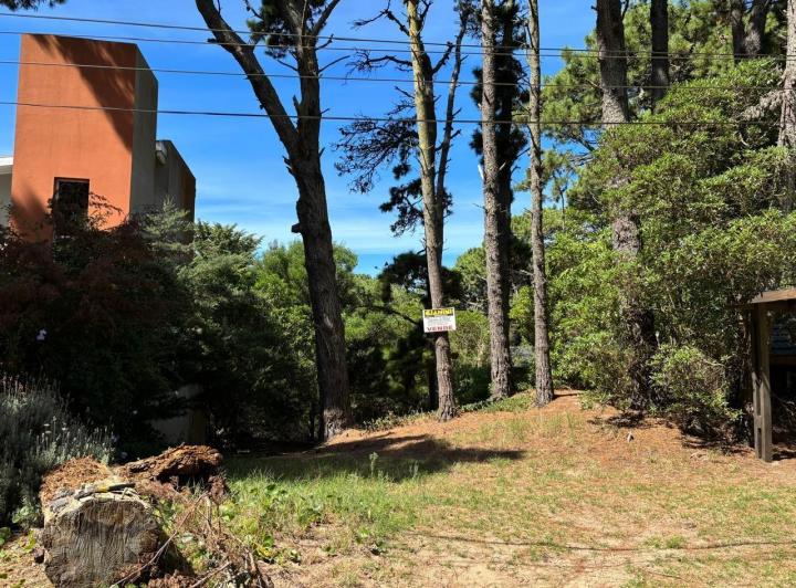 Terreno · 350m²