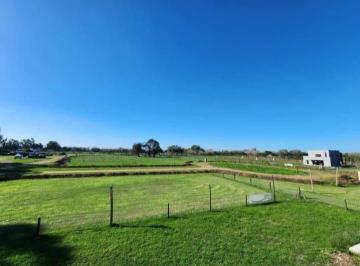 Terreno , Ezeiza · Lote en Venta de 960 m² en Tristán Suárez. Ezeiza.