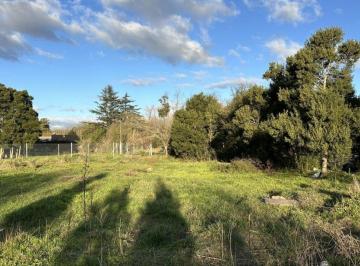 Terreno , Ranchos · Lote de 1000 m². Sobre Calle 80. Ranchos