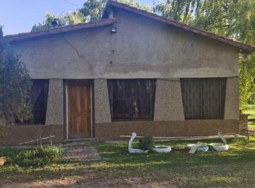 Campo · 7ha · Venta Chacra Allen C/ 484,70 m de Frente Sob