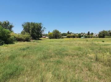 Terreno · 2600m² · Alquilo Terreno en Costanera Altura Puente Zipoli y Sagrada Familia