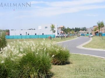 Terreno · 601m² · Venta Lote en San Pablo Chico