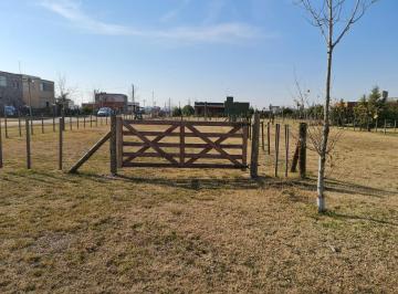 Terreno · 486m² · Lote en Domselaar Chico! Oportunidad!