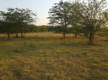 Campo · 2ha · Chacra de 1,7 Hectáreas en Cañuelas