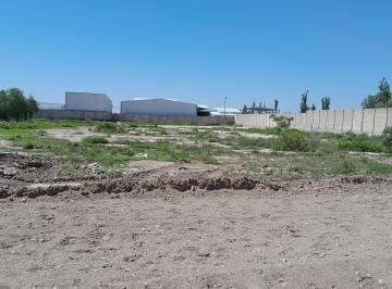Terreno · 5000m² · Terreno en Venta 5000 m² Sobre Pescara, Maipú, Mendoza
