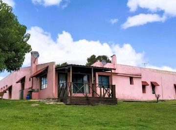 Campo · 500ha · Campo en Venta Madonado