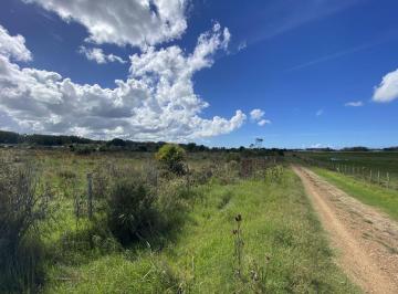 Campo · 10ha · Venta Chacra 10 Hectáreas Ruta 104 Manantiales