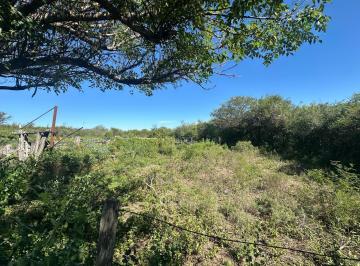 Campo · 2420000m² · Campo en La Cabral