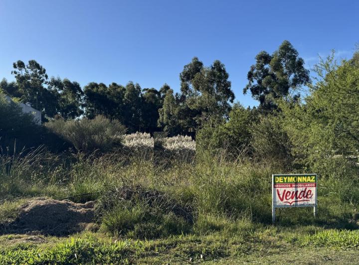 Terreno · 800m²