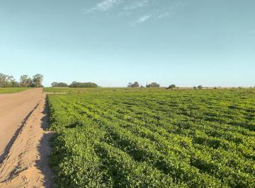 Campo · 8550000m² · Campo de 855 Hectáreas con Muy Buen Potencial Agrícola