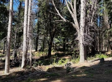 Terreno · 1250m² · Terreno Lote en Venta en Villa Campanario, Bariloche, Patagonia