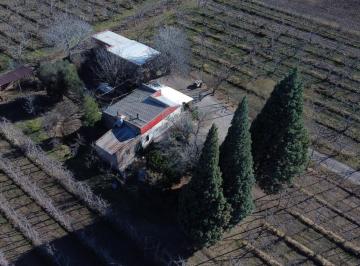Campo · 35000m² · 2 Dormitorios · Chacra en Allen