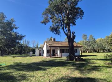 Casa 2 · Chacra en Venta - Cañuelas - Alejandro Petión - 9,8 Ha - Nuevo Valor!