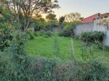 Terreno · 230m² · Venta Terreno 230 m² Los Tilos