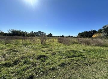 Terreno · 300m² · 6 Ambientes · 10 Cocheras · Hectáreas en Venta en La Armonía