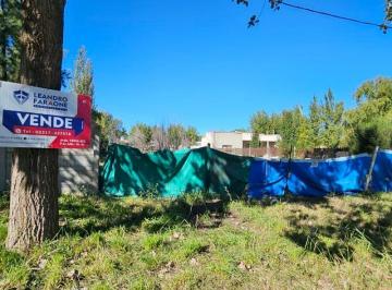 FAE-FAE-778_2 · Lote. | Cavallari