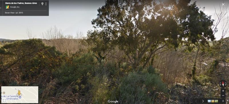Lote en venta 699m² en Sierra de los Padres — Excelente ubicación