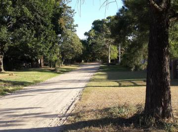 Terreno · 1000m² · Listo Para Empezar Tu Proyecto 1000 m² en Colastiné Norte, Zona Alta, a Pasos de La Ruta 1