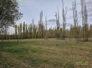 Campo · 350m² · Venta Chacra Frente de Ruta 22 Cipolletti