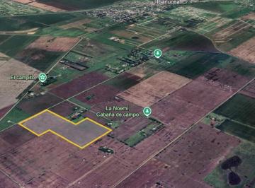 Campo · 140000m² · Campo en Ibarlucea