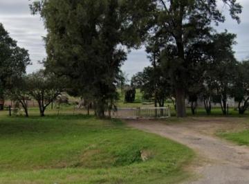 Campo · 147000ha · Campo en Luis Palacios