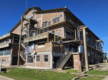 Bodega-Galpón · 4349m² · Galpon en Venta - Predio Industrial Tali