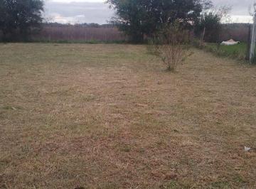 Terreno · 311m² · Lote en Venta en Maximo Paz Cañuelas