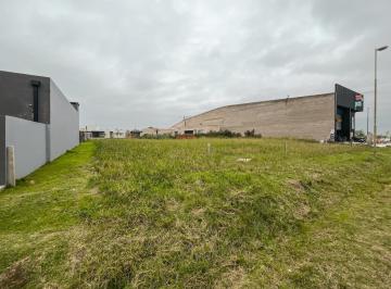 Terreno · 510m² · Terreno con Posibilidad de Lindero en Don Mateo