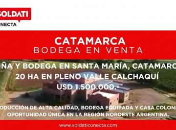 Bodega-Galpón · 200000m² · Viña y Bodega en Venta - Santa Maria - Catamarca