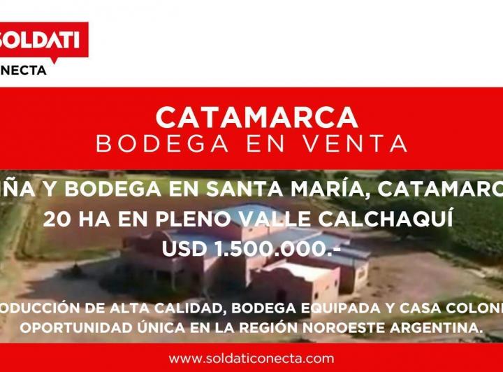 Bodega-Galpón · 200000m²