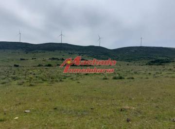 Foto1 · Venta de Chacra de 5 Hectáreas en Ruta 39