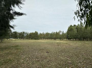 Campo , Alegre · Fraccion de 1,9 Ha Inmejorable Ubicación, Alegre, General Paz, Bs As.